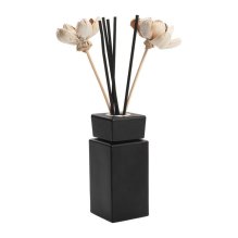 Diffuser